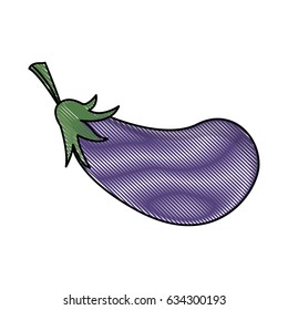 draw eggplant vegetable nutrition vitamin food health