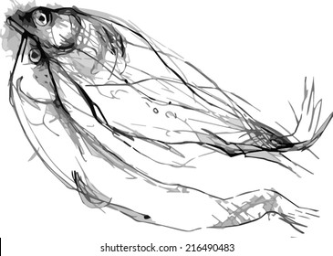 Draw of fishes together in love