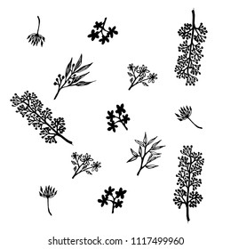 ็็Hand draw floral vector