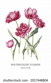 draw flowers with watercolor vector