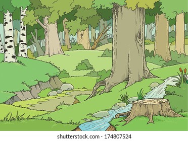 Draw of forest.