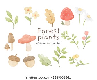 Draw forest plants Elements of forest Decoration nursery birthday kids Print for invitation card Poster Template