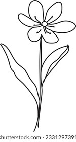 dibujar una fuente para facilitar