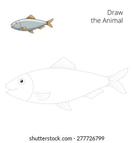 Draw the herring fish educational game vector illustration