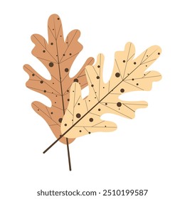 Draw illustration autumn leaves For fall autumn season concept flat style. White background