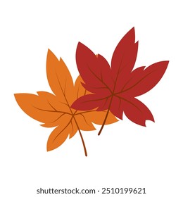 Draw illustration autumn leaves For fall autumn season concept flat style. White background
