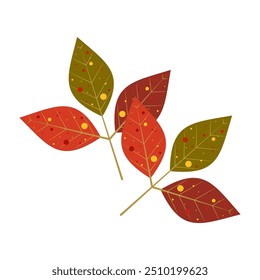 Draw illustration autumn leaves For fall autumn season concept flat style. White background