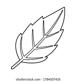 Draw Leaves Lines Vector Coloring Book Stock Vector (Royalty Free ...