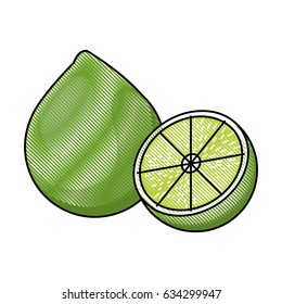 draw lemon citrus fruit fresh half