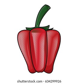 draw pepper vegetable nutrition vitamin food health