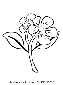 Draw and sketch of flowers with line art on white background.