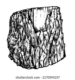 Dibujar un trozo en forma de un árbol de alba dibujado a mano en un estilo realista. contorno negro de vista lateral sobre elemento aislado blanco para la plantilla de diseño de vintage