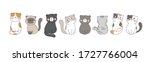 Draw vector banner cute cat on white for,greeting card,poster,cover,print,banner web.Doodle cartoon style.