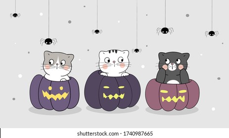 Draw vector banner cute cat in pumpkin with spider For Halloween day.Doodle cartoon style.