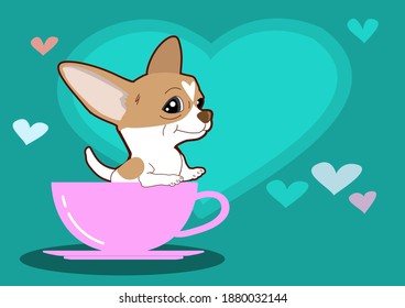 Draw vector character design Chihuahua dog