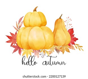 Draw vector illustration autumn pumpkin arrangement with red leaves For Autumn Harvest Thanksgiving card Watercolor style