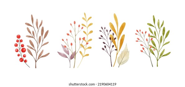 Draw vector illustration branch of leaves and berry For Fall Autumn Harvest Thanksgiving day card Watercolor style