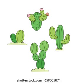 Draw vector illustration of cactus.