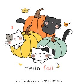 Draw vector illustration character cute cats in pumpkin For autumn Fall concept Doodle cartoon style