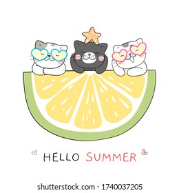 Draw vector illustration character design cat with lemon slice for summer.Doodle cartoon style.