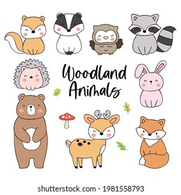 Draw vector illustration character design collection cute woodland animal Doodle cartoon style