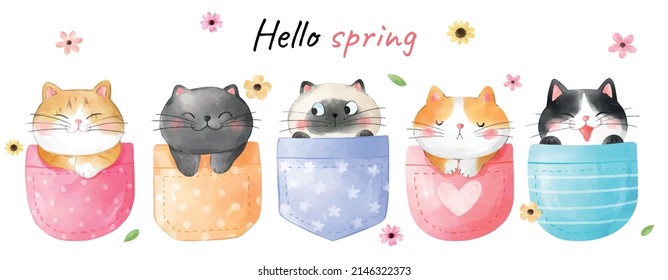 Draw vector illustration character design banner funny cat in pocket Spring concept Watercolor style svg