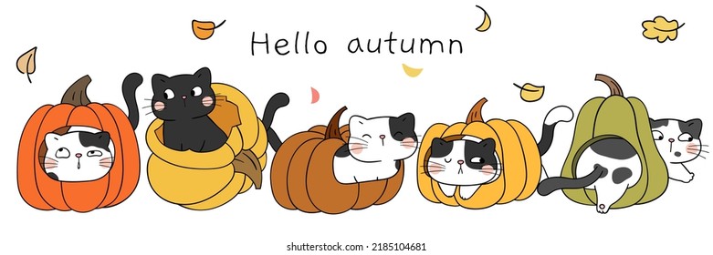 Draw vector illustration character design banner cute cats in pumpkin For autumn Fall concept Doodle cartoon style