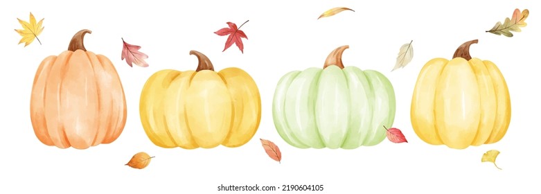 Draw vector illustration character design banner sweet pastel pumpkin for fall Autumn harvest Watercolor style