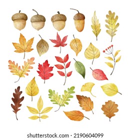 Draw vector illustration collection autumn leaves For fall autumn season concept Watercolor style