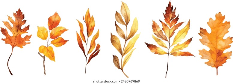 Draw vector illustration collection autumn leaves For fall autumn season concept Watercolor style