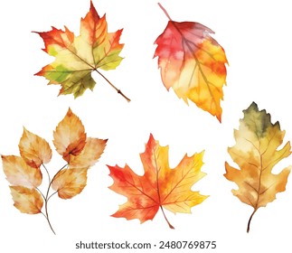 Draw vector illustration collection autumn leaves For fall autumn season concept Watercolor style