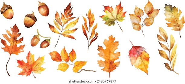 Draw vector illustration collection autumn leaves For fall autumn season concept Watercolor style