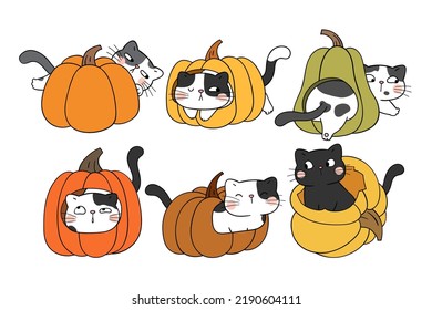 Draw vector illustration collection cute cats with pumpkin for fall autumn concept Doodle cartoon style