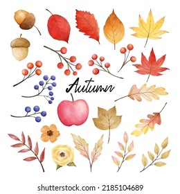 Draw Vector Illustration Collection Elements Fall Stock Vector (Royalty ...