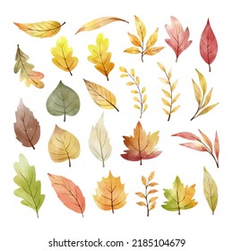 Draw vector illustration collection leaves fall For autumn season concept Watercolor style
