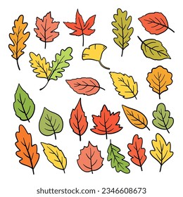 Zeichnen Vektorgrafik Sammlung Blätter Herbst Konzept Doodle Cartoon Stil