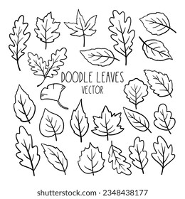 Draw vector illustration collection outline leaves fall Autumn concept Doodle cartoon style