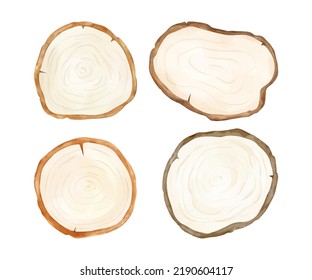 Draw vector illustration collection painting wooden slice Watercolor style