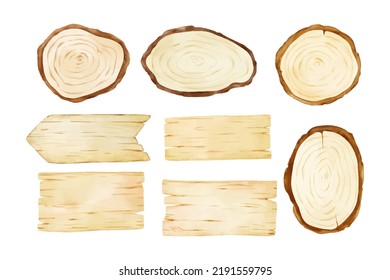 Draw vector illustration collection wood slice Watercolor style