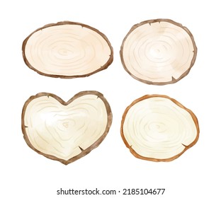 Draw vector illustration collection wooden slice Watercolor style