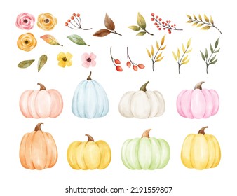 Draw vector illustration set of autumn leaves and pumpkins for fall Autumn concept Watercolor style