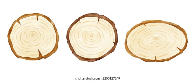 Draw vector illustration wooden slice Watercolor style