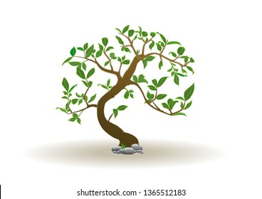 draw vector tree - wood