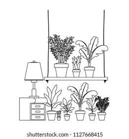 drawer with houseplants and lamp