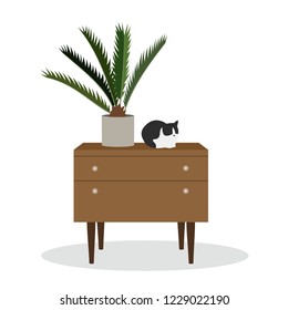 Сhest of drawers with cat and palm in pot. Vector illustration.