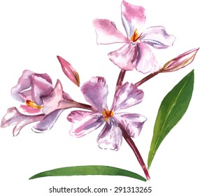 A drawing of an abstract purple flower, scalable vector graphic