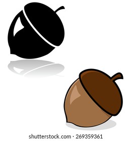 Drawing Of An Acorn In Color And Black And White