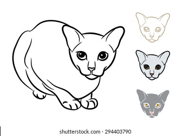 Drawing of adorable cat with three  styles small head on white background