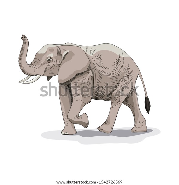 Dessin D Un Elephant Africain Illustration Vectorielle Convient Image Vectorielle De Stock Libre De Droits