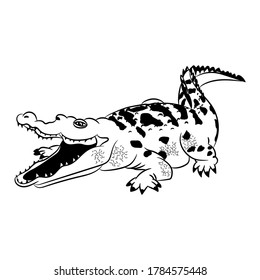 drawing of an aggressive antediluvian crocodile reptile with open mouth black and white sketch